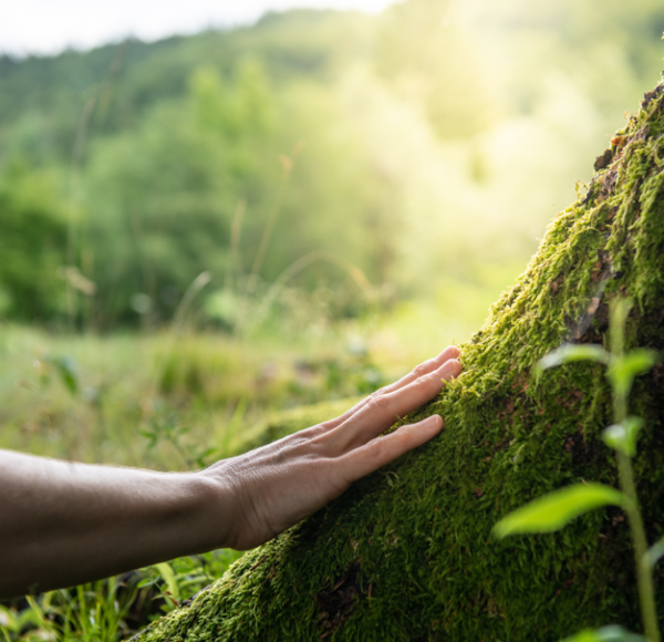 Environmental Protection